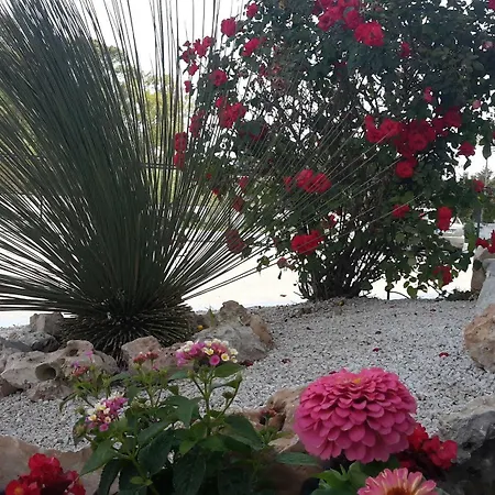 Exagon Flower 3*