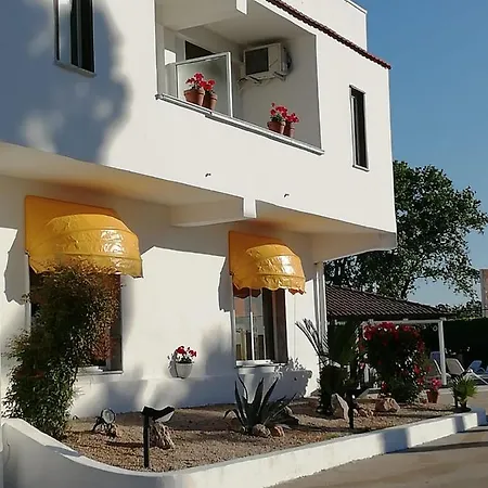 Hotel Exagon Flower